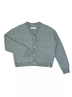 ნაცრისფერი