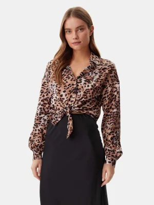 ყავისფერი