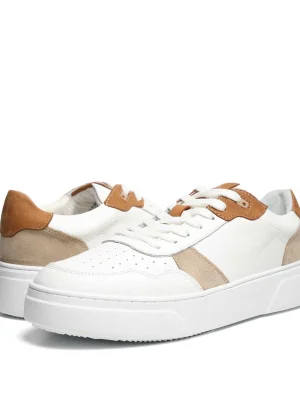 სხვადასხვა