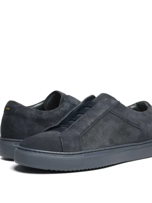 ნაცრისფერი