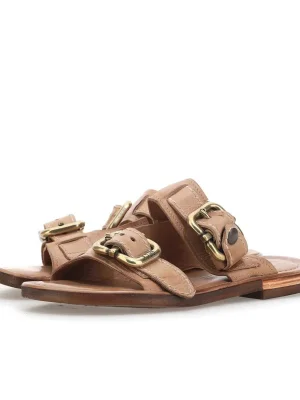 ყავისფერი