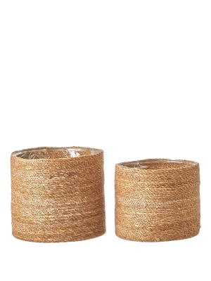 ყავისფერი