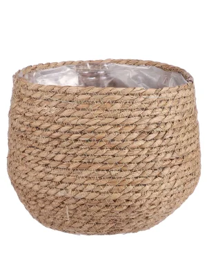 ყავისფერი