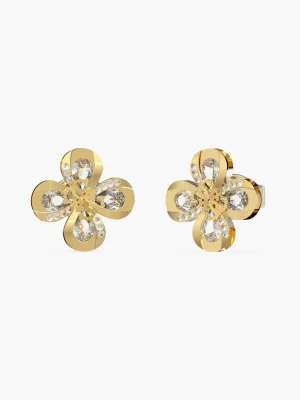 ოქროსფერი