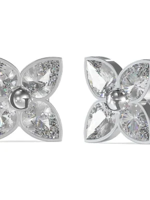 ვერცხლისფერი