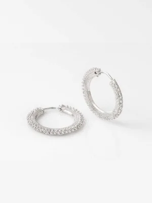 ვერცხლისფერი