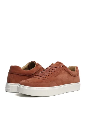 ყავისფერი