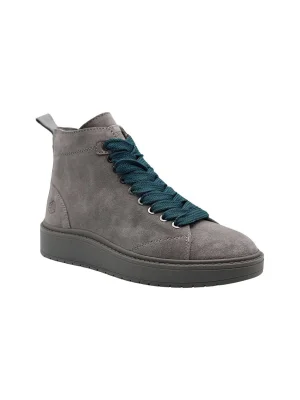 ნაცრისფერი