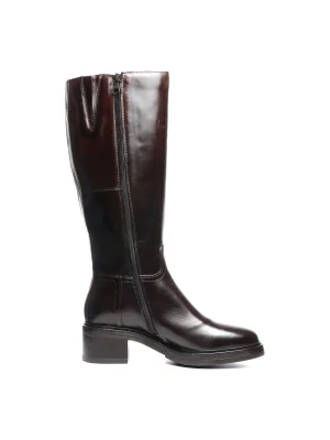 ყავისფერი