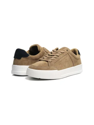 ყავისფერი