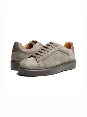 ნაცრისფერი