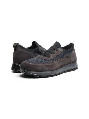 ნაცრისფერი