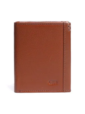 ყავისფერი