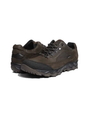 ყავისფერი