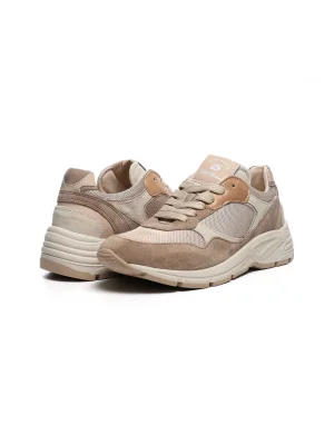 სხვადასხვა