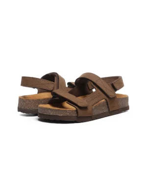 ყავისფერი