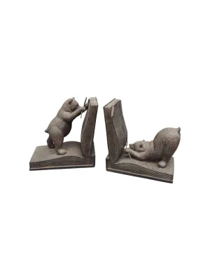 ყავისფერი