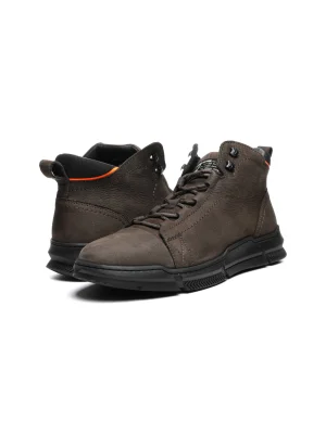 ყავისფერი