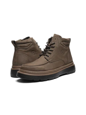 ყავისფერი