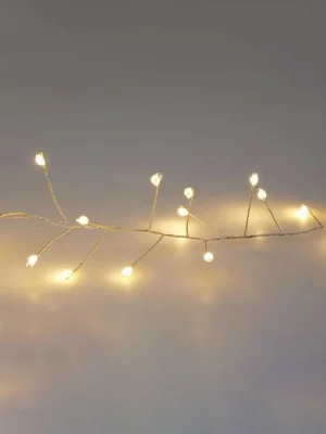 ვერცხლისფერი