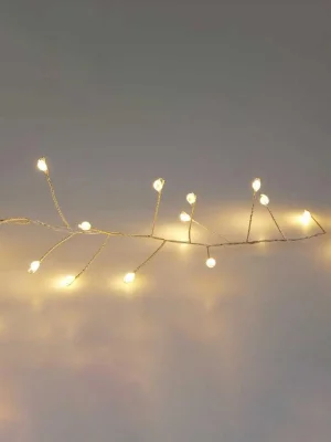 ვერცხლისფერი