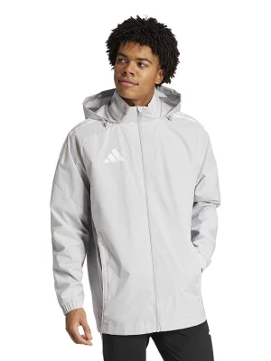 ნაცრისფერი