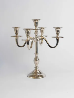 ვერცხლისფერი