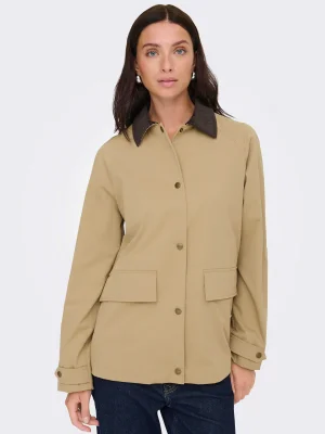 ყავისფერი