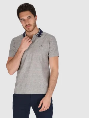 ნაცრისფერი