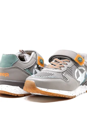 ნაცრისფერი