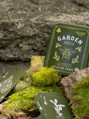 სხვადასხვა