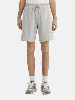 ნაცრისფერი