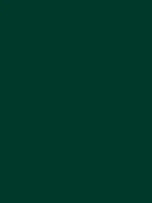 05 Grean Sea