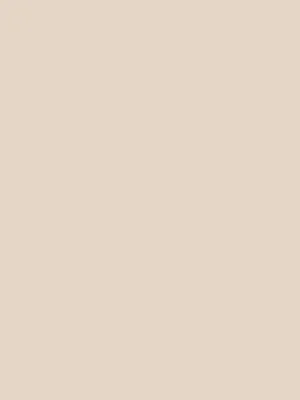 300C PORCELAIN