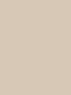 301C NUDE