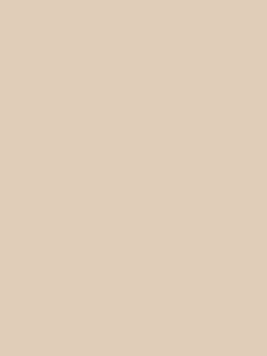 301N LIGHT BEIGE