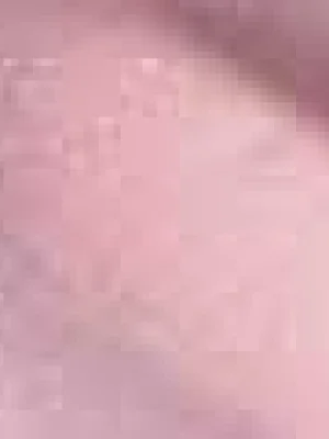 500 Frosted Plum