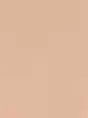 00 NEUTRAL BEIGE