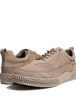 ყავისფერი