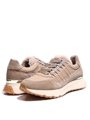 ყავისფერი