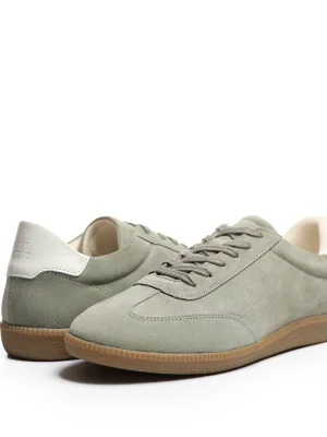 ნაცრისფერი