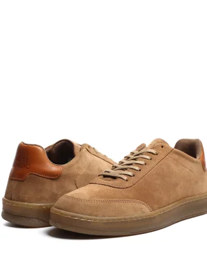 ყავისფერი