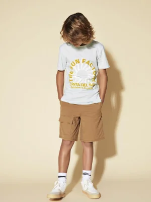 ყავისფერი