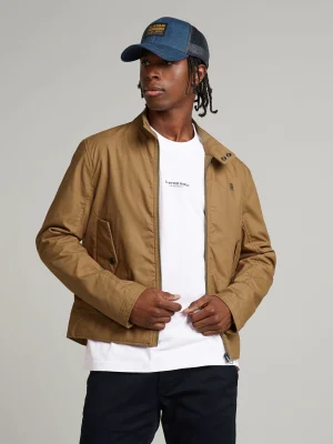 ყავისფერი