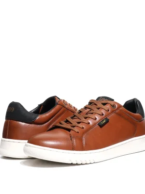 ყავისფერი