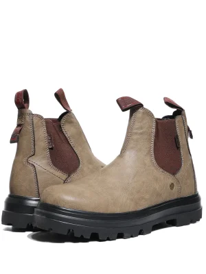 ყავისფერი