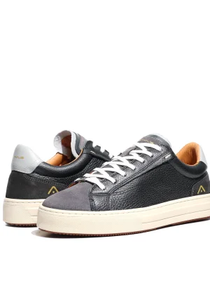 ნაცრისფერი