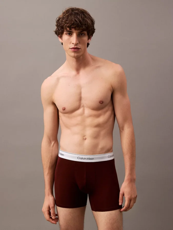 CALVIN KLEIN UNDERWEAR -... 2