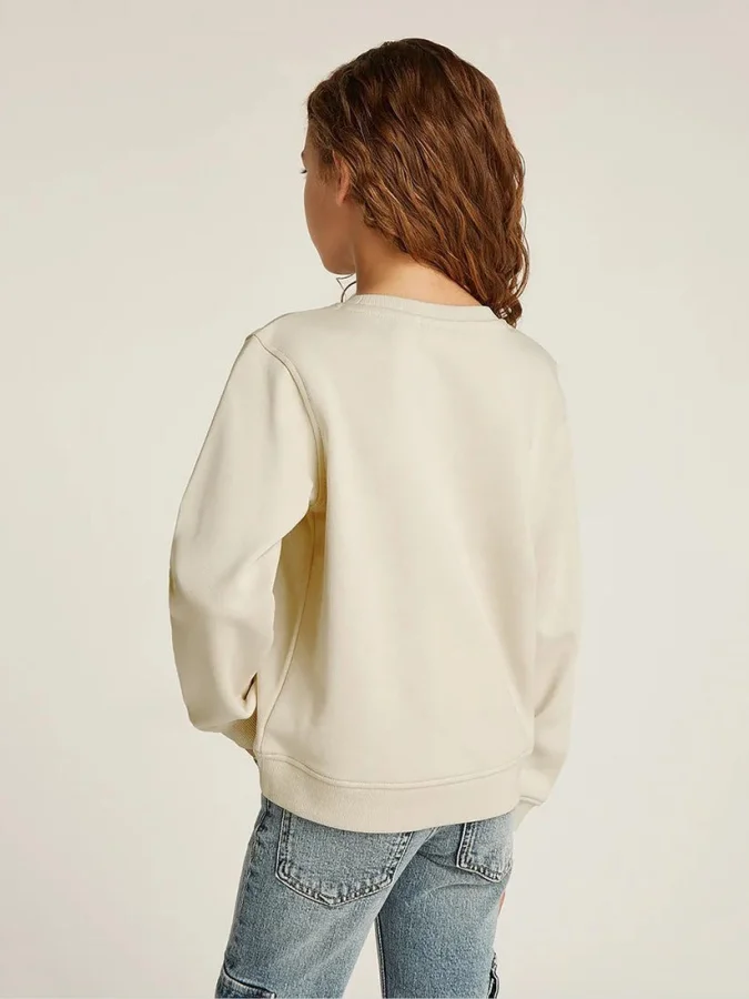 CALVIN KLEIN - MULTI C... 2