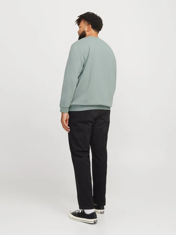 Jack&Jones - JJEBRADLEY... 2